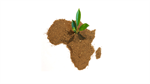Zakendoen in Afrika: continent met kansen?
