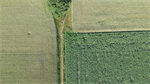 Natuurbescherming - ontbijtsessie