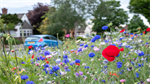 Natuur- en biodiversiteitsverlies voor schadeverzekeraars